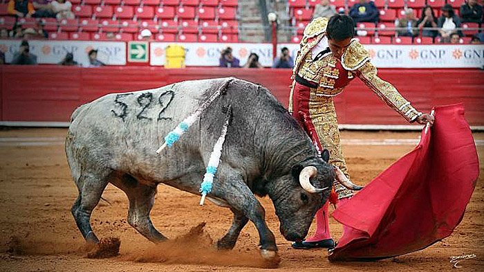 matador_20170322_155956.jpg