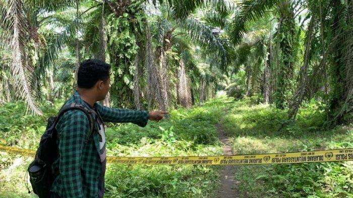 mayat-di-Perkebunan-sawit-Deliserdang.jpg