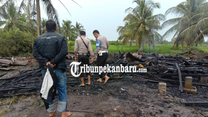 nyalakan-api-unggun-untuk-usir-nyamuk-satu-rumah-di-kepulauan-meranti-ludes-terbakar.jpg