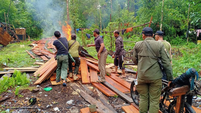 pelaku-illegal-logging-asal-lampung-kabur-pondok-mereka-dibakar-babat-hutan-di-sm-giam-siak-kecil.jpg
