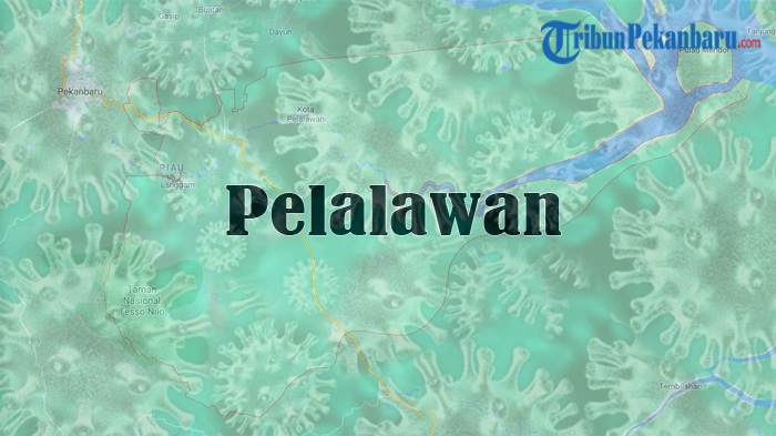 pelalawan-zona-merah-covid-19-diskes-pelalawan-ruang-isolasi-cukup-terapkan-protokol-kesehatan.jpg
