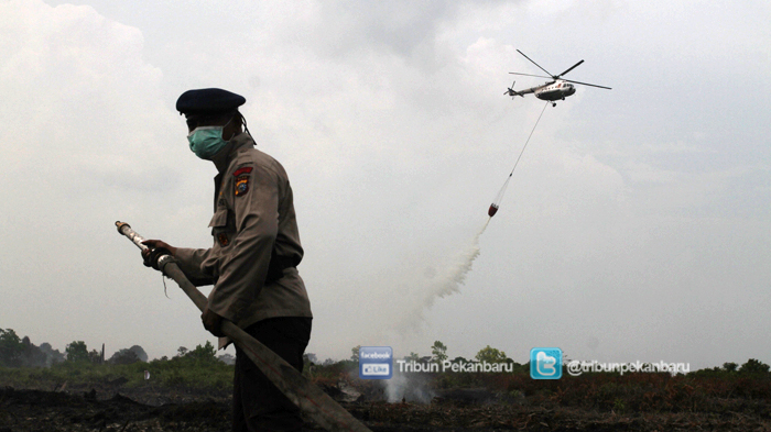11 Hari Api Tak Kunjung Padam, 5 HELIKOPTER Waterbombing Dikerahkan untuk Pemadaman Karhutla di Riau