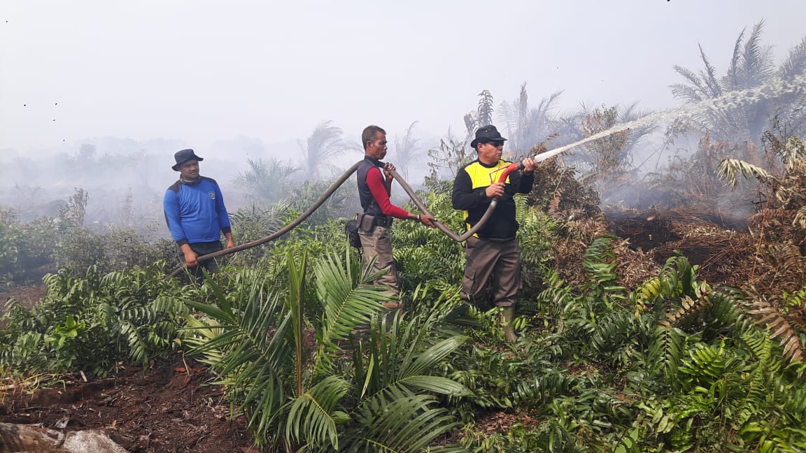 Seluas 21 Hektar Lahan Hangus Terbakar di Desa Pangkalan Gondai Langgam