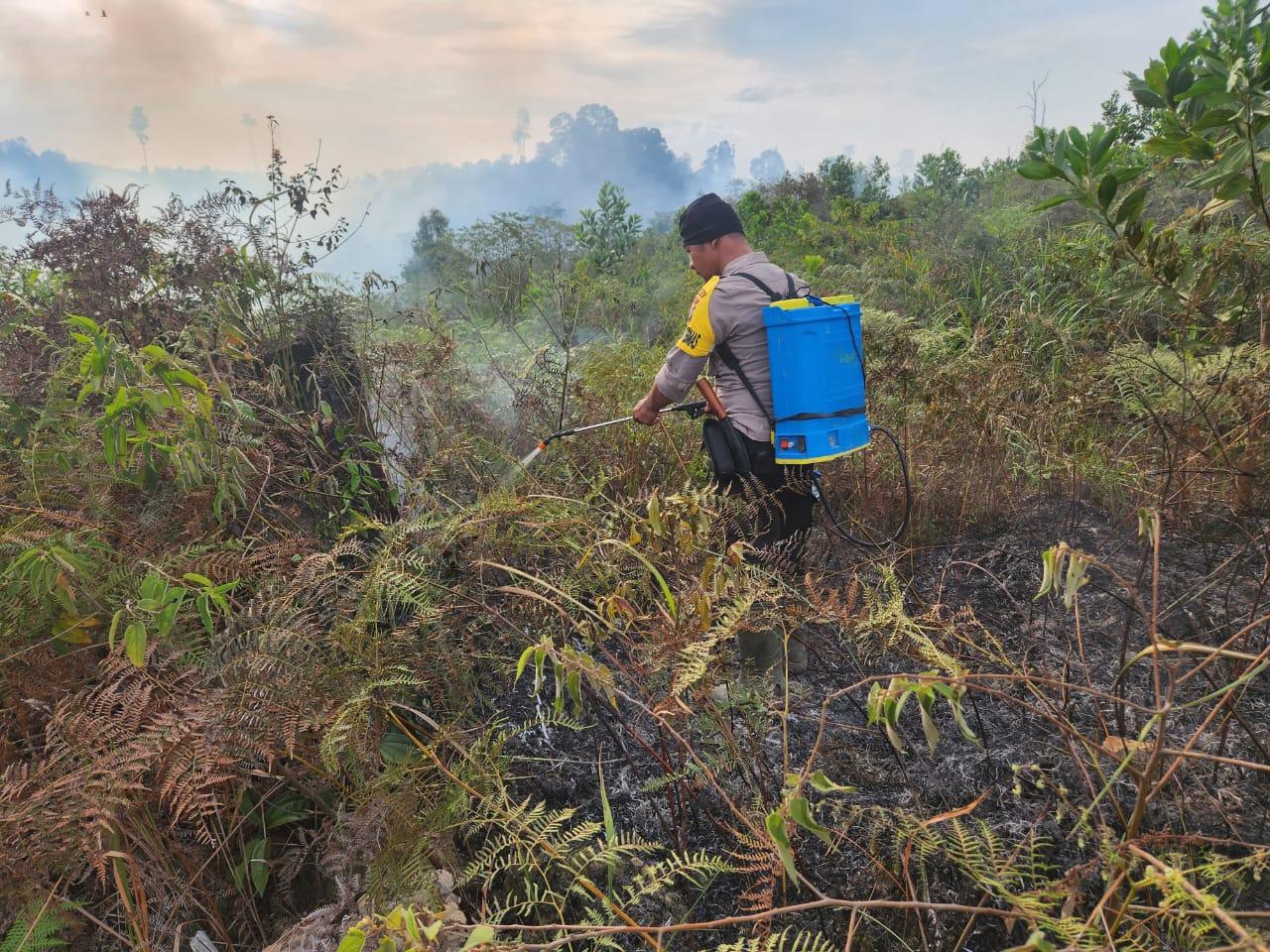 Karhutla di Pelalawan, Polsek Langgam Padamkan Api Sebelum Meluas, Hari Ini Nihil Hotspot