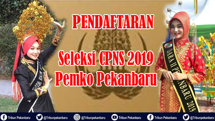 pendaftaran-seleksi-cpns-2019-pemko-pekanbaru-belasan-pelamar-terpantau-daftar-via-sscasnbkngoid.jpg