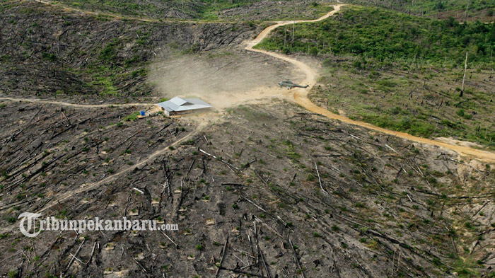 penyegelan-lahan-terbakar-di-taman-nasional-tesso-nilo_20160719_214149.jpg
