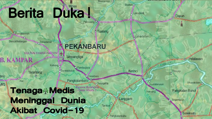 Sisca, Perawat Covid-19 Pekanbaru Meninggal Dunia Akibat Corona, Ternyata Tulang Punggung Keluarga