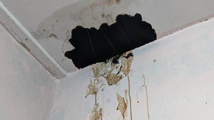 Curiga Ada Tangga Menuju Plafon, Pria di Malang Naik ke Atas, Terkejut Lihat Ayahnya Tak Bernyawa