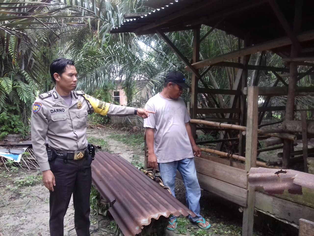 4 Ekor Sapi Hilang dalam Semalam, Warga Lubukdalam Heboh, Diduga Pelaku Lihai