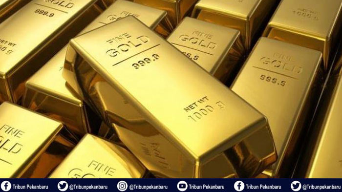 POLISI RAZIA Penambangan Emas Liar di Inhu Riau, Tujuh Orang Tersangka Ditangkap, Denda Rp 10 Miliar