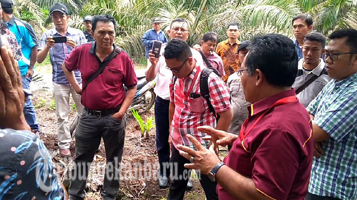 Polisi Tinjau Kebun Sawit Kemitraan PTPN 5 dengan Koperasi di Siak Hulu yang Diduga Dijual Sepihak