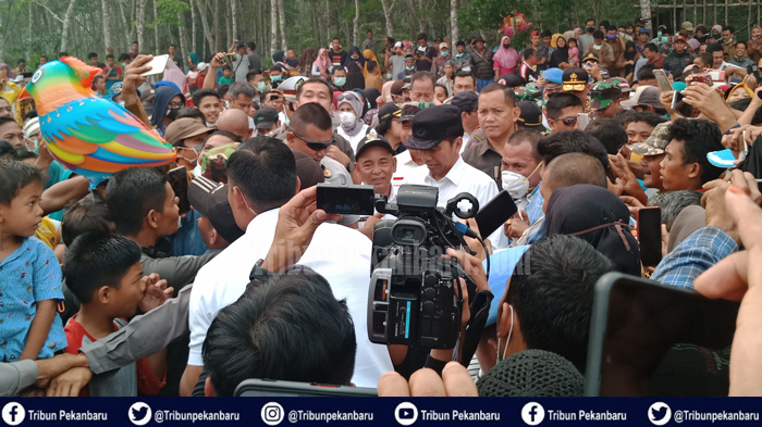 Besok Jadwal Kunjungan Jokowi ke Riau, Tinjau Langsung Vaksinasi Massal, Sasar 10 Ribu Orang