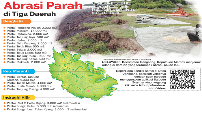 ratusan-hektare-kebun-sawit-hilang-ditelan-laut-akibat-abrasi_20180925_094022.jpg