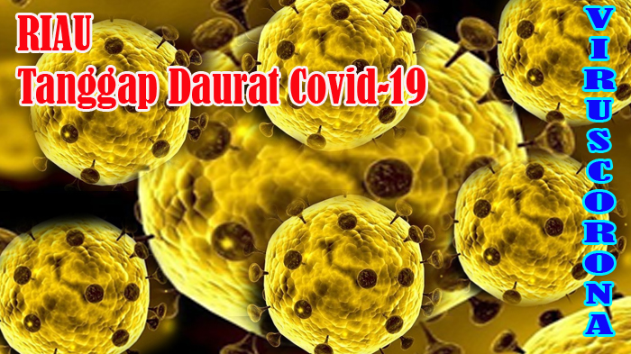 RIAU TANGGAP DARURAT Covid-19, Jumlah Kasus Virus Corona Melejit, ODP Capai 20.004 Orang, Positif 7