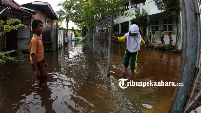 FOTO-FOTO Murid Sekolah Lewati Banjir yang Menggenangi Halaman SD/MI Miftahuddin Pekanbaru - sekolah-banjir.jpg