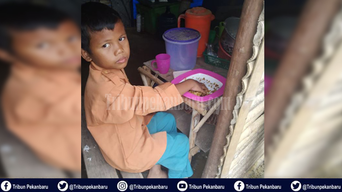 STORY-KISAH Nyata Satu Keluarga di Riau, Tinggal di Gubuk Berdiding Terpal, Baim Sering Tidak Makan