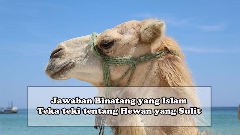 teka-teki-binatang-yang-islam.jpg