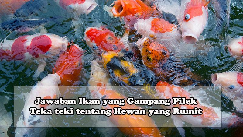 teka-teki-ikan-yang-gampang-pilek.jpg