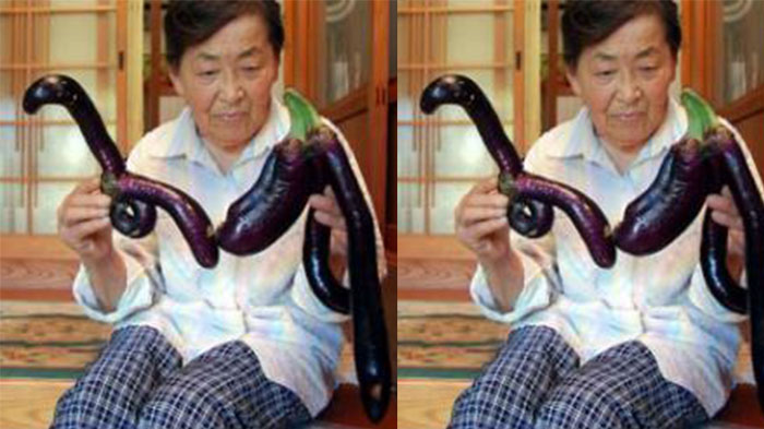 terong-aneh-di-jepang.jpg