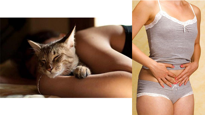 tidur-dengan-kucing-wanita-temukan-bulu-kucing_20170710_073912.jpg