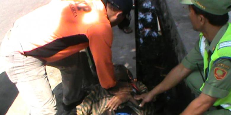 Tukang Becak Pengantar Tamu Gibran-Selvi Meninggal Usai Jatuh di Selokan