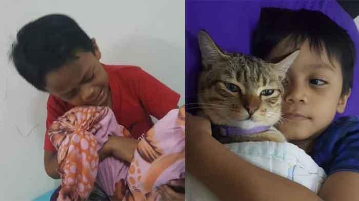 viral-bocah-menangis-terisak-isak-karena-kucingnya-mati.jpg