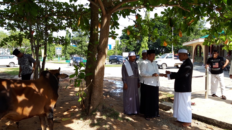 wawako-dumai-eko-suharjo-serahkan-sapi-kurban-masjid-habiburrahman-dumai_20180822_111216.jpg