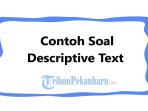 20-Contoh-Soal-Descriptive-Text-Pilihan-Ganda-dan-Jawabannya-Kelas-10.jpg