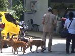 4-anjing-gigit-warga-pku.jpg