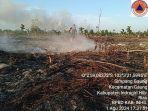 413-Hektare-Lahan-Terdampak-Karhutla-di-Inhil-Tahun-2024.jpg