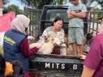 502_Kasus_Gigitan_Anjing_di_Pelalawan_Selama_Dua_Tahun_Ini__1_Orang_Meninggal_Dunia.jpg