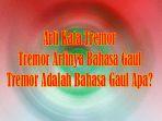 Arti-Kata-Tremor-dan-Tremor-Artinya-Bahasa-Gaul-serta-Tremor-Adalah-Bahasa-Gaul-Apa-Tantrum.jpg