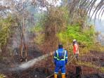 BPBD-Dumai-lakukan-pendinginan-di-lokasi-kebakaran-lahan-ok.jpg