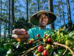 Konsisten Terapkan Prinsip ESG, BRI Raih Penghargaan Internasional dari The Asset Triple A