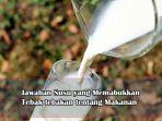 Berikut-ini-jawaban-Susu-yang-memabukkan.jpg