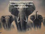 Botswana-Ancam-Jerman-Dengan-20000-Pasukan-Gajah.jpg