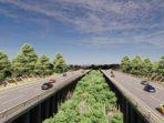 Canggihnya-jalan-tol-IKN-Nusantara-bisa-isi-daya-mobil-listrik-seperti-di-Swedia.jpg