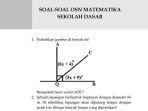 Cek-Link-PDF-Buku-contoh-soal-OSN-Matematika-SD.jpg