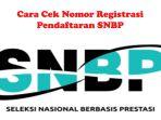 Cek-Nomor-Registrasi-Pendaftaran-SNBP.jpg