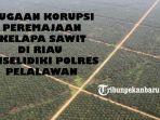Dugaan-Korupsi-Peremajaan-Sawit-di-Riau-Polres-Pelalawan-Telusuri-KUD-di-Ukui.jpg