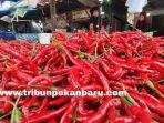 FOTO_Harga_Cabai_Merah_di_Pekanbaru_Terus_Naik_1.jpg