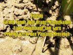 Filosofi-Cacing-Tanah-Bagi-Orang-Minangkabau-Alam-Takambang-Jadi-Guru-Pekerja-Keras-Pantang-Menyerah.jpg