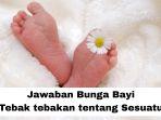 Jawaban-bunga-bayi.jpg