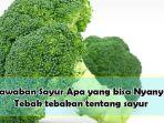 Jawaban-sayur-apa-yang-bisa-nyanyi.jpg