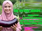 Jumbo-Viral-Arti-Kata-Jumbo-atau-Artinya-dan-Film-Animasi-Jumbo-yang-Viral.jpg
