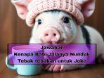 Kenapa-babi-jalannya-nunduk.jpg