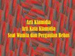 Klamidia-Viral-Ini-Arti-Kata-Klamidia-yang-Banyak-Dialami-Wanita-Akibat-Pergaulan-Bebas-Berbahaya.jpg