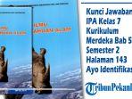 Kunci-Jawaban-IPA-Kelas-7-Kurikulum-Merdeka-Bab-5-Semester-2-Halaman-143-Ayo-Identifikasi.jpg