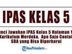 Kunci-Jawaban-IPAS-Kelas-5-Halaman-181-Kurikulum-Merdeka-Apa-Saja-Contoh-SDA-yang-Bisa-Diperbarui.jpg