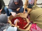 Operasi-pasar-cabai-merah-di-pasar-arengka-pekanbaru.jpg